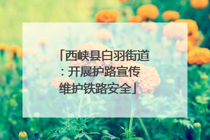 西峡县白羽街道：开展护路宣传 维护铁路安全