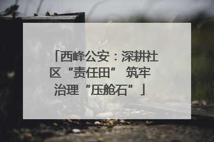 西峰公安：深耕社区“责任田” 筑牢治理“压舱石”