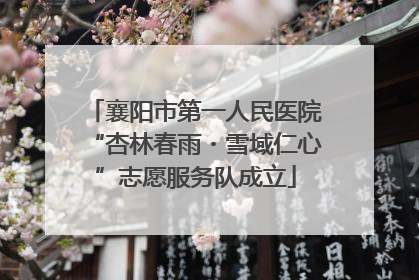 襄阳市第一人民医院“杏林春雨・雪域仁心”志愿服务队成立