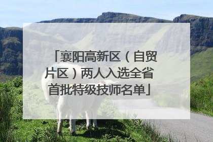 襄阳高新区（自贸片区）两人入选全省首批特级技师名单