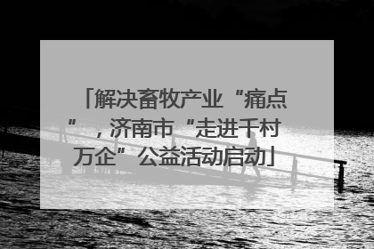 解决畜牧产业“痛点”，济南市“走进千村万企”公益活动启动