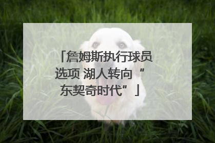 詹姆斯执行球员选项 湖人转向“东契奇时代”