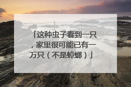 这种虫子看到一只，家里很可能已有一万只（不是蟑螂）