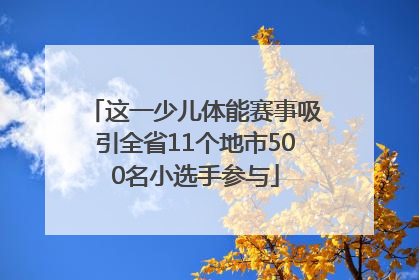 这一少儿体能赛事吸引全省11个地市500名小选手参与