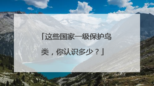 这些国家一级保护鸟类，你认识多少？