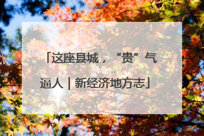 这座县城，“贵”气逼人｜新经济地方志