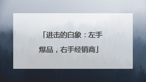 进击的白象：左手爆品，右手经销商