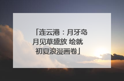 连云港：月牙岛月见草盛放 绘就初夏浪漫画卷