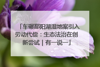 车碾鄱阳湖湿地案引入劳动代偿：生态法治在创新尝试｜有一说一