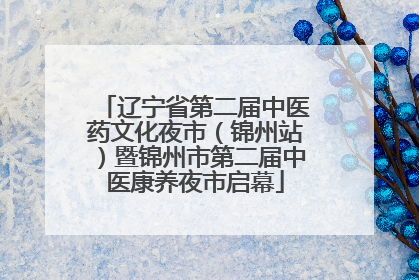 辽宁省第二届中医药文化夜市（锦州站）暨锦州市第二届中医康养夜市启幕