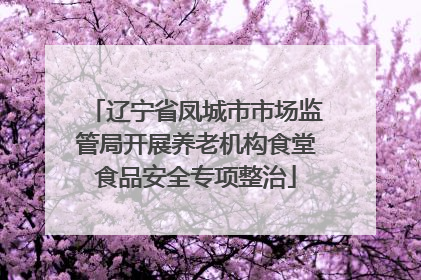 辽宁省凤城市市场监管局开展养老机构食堂食品安全专项整治