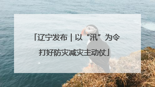 辽宁发布｜以“汛”为令 打好防灾减灾主动仗