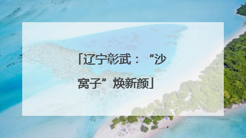 辽宁彰武：“沙窝子”焕新颜