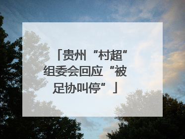 贵州“村超”组委会回应“被足协叫停”