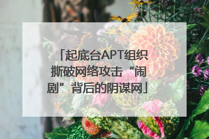 起底台APT组织 撕破网络攻击“闹剧”背后的阴谋网