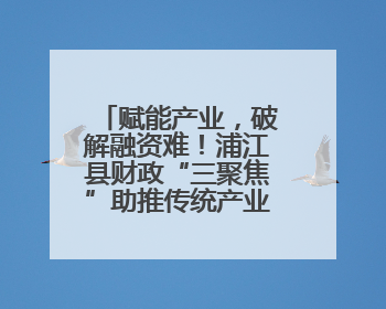 赋能产业，破解融资难！浦江县财政“三聚焦”助推传统产业转型升级