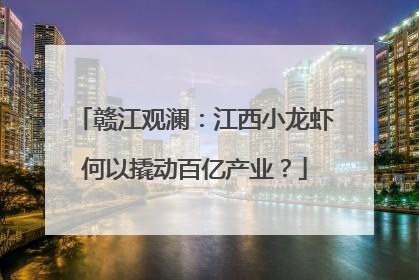 赣江观澜：江西小龙虾何以撬动百亿产业？