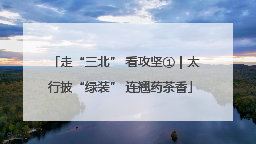 走“三北” 看攻坚①｜太行披“绿装” 连翘药茶香