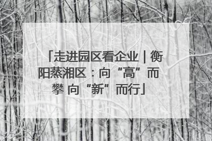 走进园区看企业｜衡阳蒸湘区：向“高”而攀 向“新”而行