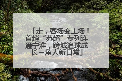 走，客场变主场！首趟“苏超”专列连通宁淮，跨城追球成长三角人新日常