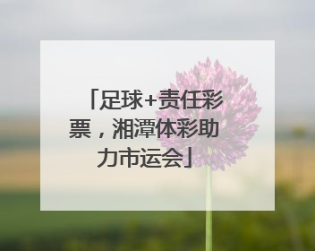 足球+责任彩票，湘潭体彩助力市运会
