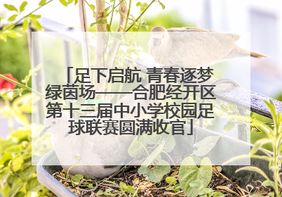 足下启航 青春逐梦绿茵场——合肥经开区第十三届中小学校园足球联赛圆满收官