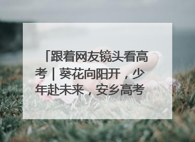 跟着网友镜头看高考｜葵花向阳开，少年赴未来，安乡高考首日的希望图景