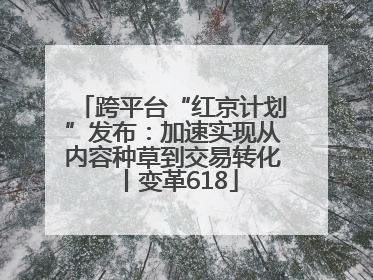 跨平台“红京计划”发布：加速实现从内容种草到交易转化丨变革618