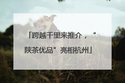 跨越千里来推介，“陕茶优品”亮相杭州