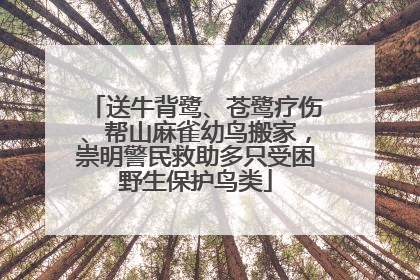 送牛背鹭、苍鹭疗伤、帮山麻雀幼鸟搬家，崇明警民救助多只受困野生保护鸟类