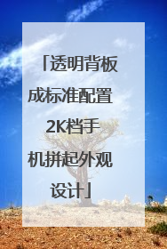 透明背板成标准配置 2K档手机拼起外观设计