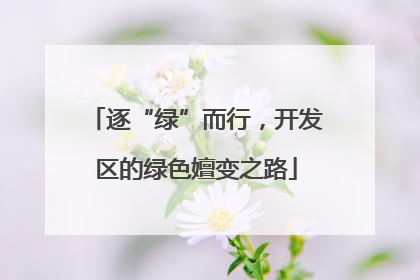 逐“绿”而行，开发区的绿色嬗变之路