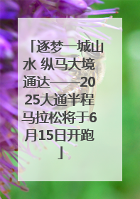 逐梦一城山水 纵马大境通达——2025大通半程马拉松将于6月15日开跑