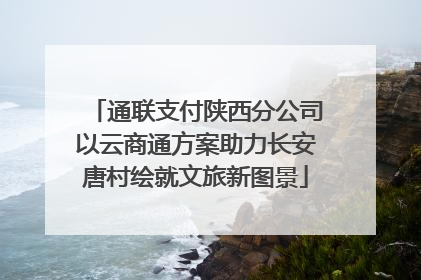 通联支付陕西分公司以云商通方案助力长安唐村绘就文旅新图景