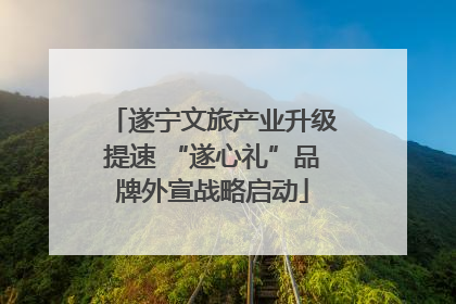 遂宁文旅产业升级提速 “遂心礼”品牌外宣战略启动