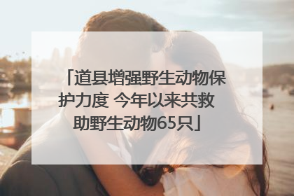 道县增强野生动物保护力度 今年以来共救助野生动物65只