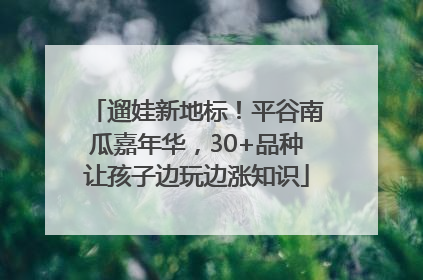 遛娃新地标！平谷南瓜嘉年华，30+品种让孩子边玩边涨知识