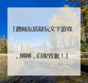 遭网友质疑玩文字游戏，刚刚，白象致歉！