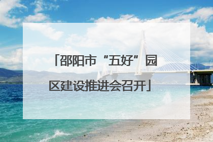 邵阳市“五好”园区建设推进会召开