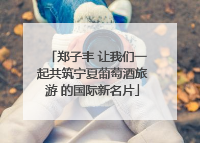 郑子丰 让我们一起共筑宁夏葡萄酒旅游 的国际新名片