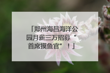 郑州海昌海洋公园月薪三万招募“首席摸鱼官”！