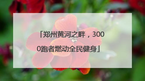 郑州黄河之畔，3000跑者燃动全民健身