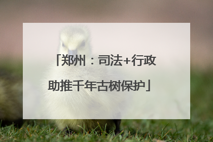 郑州：司法+行政助推千年古树保护