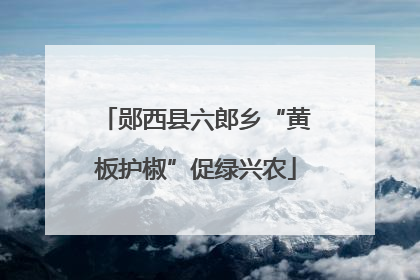 郧西县六郎乡“黄板护椒”促绿兴农