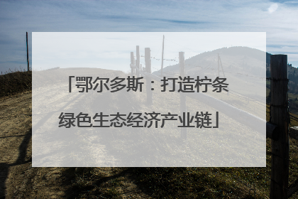 鄂尔多斯：打造柠条绿色生态经济产业链