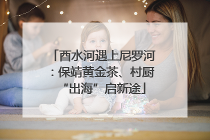 酉水河遇上尼罗河：保靖黄金茶、村厨“出海”启新途