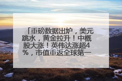 重磅数据出炉，美元跳水，黄金拉升！中概股大涨！英伟达涨超4%，市值重返全球第一！黄仁勋计划出售至多600万股股票