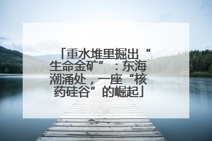 重水堆里掘出“生命金矿”：东海潮涌处，一座“核药硅谷”的崛起