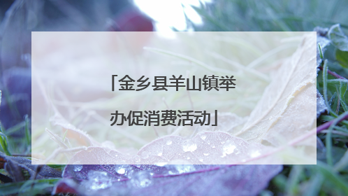 金乡县羊山镇举办促消费活动