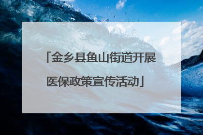 金乡县鱼山街道开展医保政策宣传活动